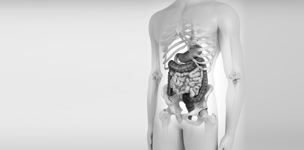 Gastroenterologie