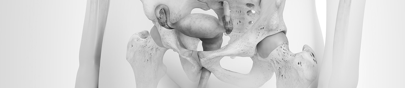 3D-Illustration zum Thema Gynäkologie, mit Schwerpunkt auf dem unteren Bauch- und Beckenbereich.